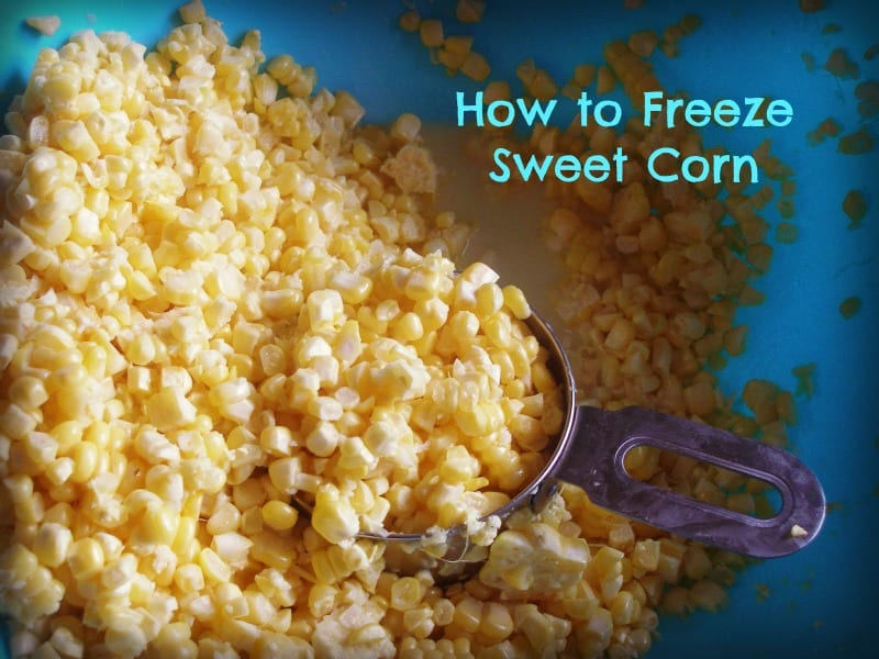 ... sweet corn is cooler on the fingers. You start by cutting all the corn ... sweet corn is cooler on the fingers. You start by cutting all the corn