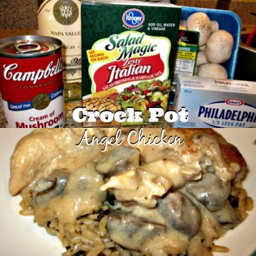 This crock pot angel chicken recipe taste complex but with simple ingredients and a few hours in the crock pot is all you need to a creamy chicken meal from your crock pot.