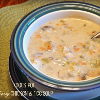 Crock Pot Creamy Chicken & Wild Rice Soup