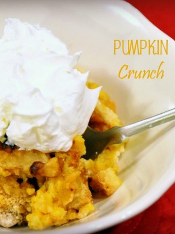 My favorite pumpkin crunch recipe is an easy fall dessert. It is so good.