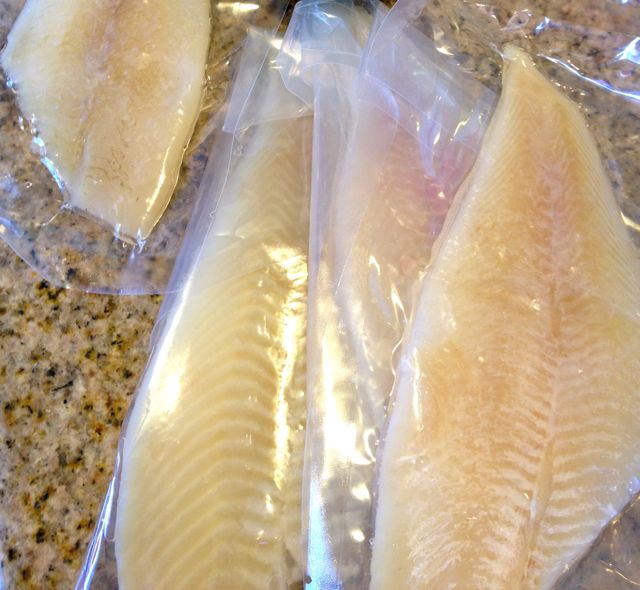 frozen fish filets