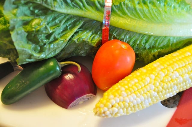 Veggies for the Mexican Salad