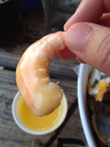 Peel and eat shrimp dipped in lemon butter