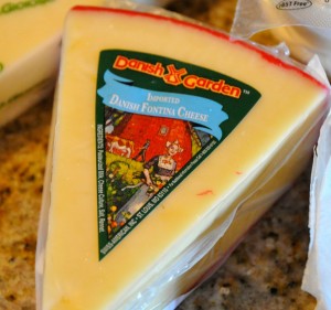 fontina cheese