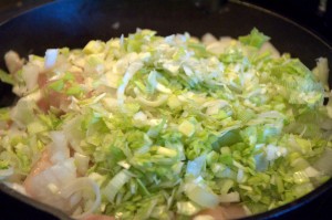 chicken onions and leeks cooking