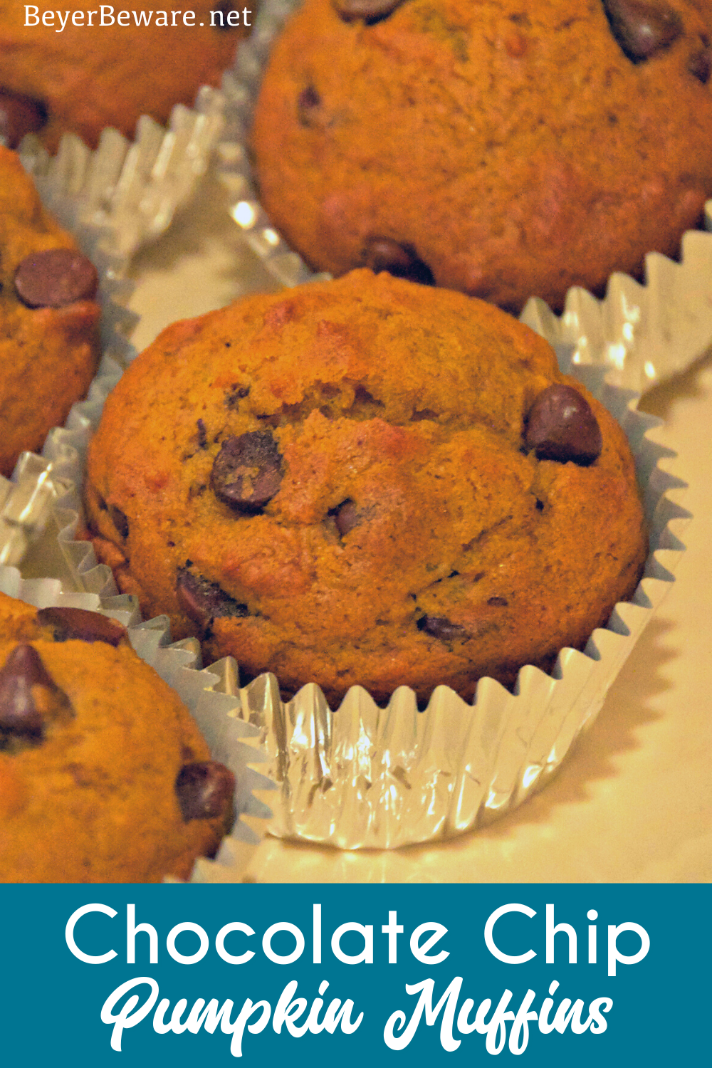 Pumpkin chocolate chip muffins are a staple of fall snacks and breakfast made from scratch with canned pumpkin and plenty of chocolate chips to make the kids feel like they aren't eating healthy food.