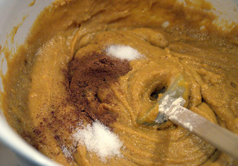 spices in pumpkin muffin mix