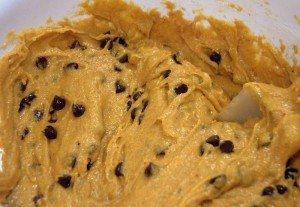 pumpkin chocolate chip muffin dough