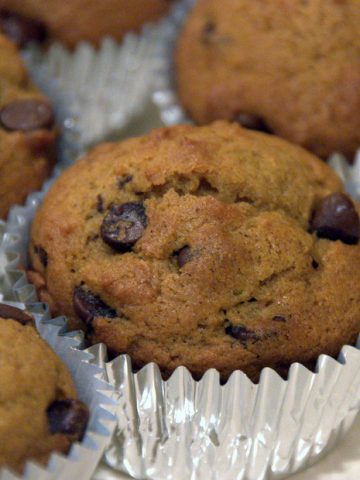 Pumpkin Chocolate Chip Muffins