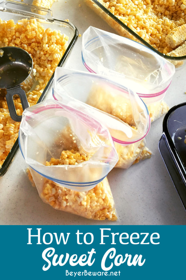 Disclosure *This post may include amazon links. As an Amazon Associate