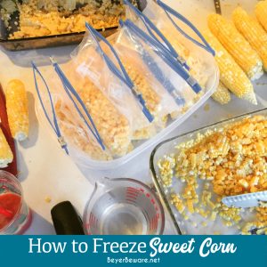 How to freeze sweet corn without blanching the corn and requiring to cut corn off of hot cobs and instead making a simple sugar and salt brine to freeze the corn in is the way I grew up freezing sweet corn.