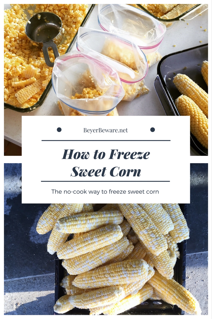 How to freeze sweet corn without having to cook the corn before freezing.
