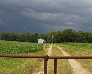 Farm Windmill