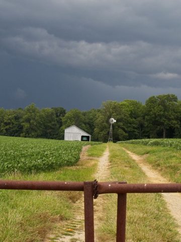 Farm Windmill