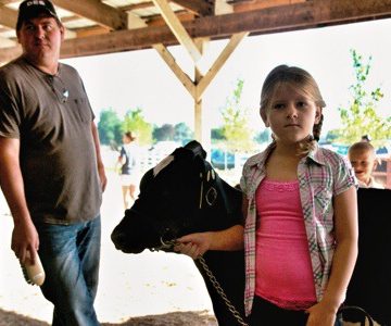 The Girl and Her Dairy Calf