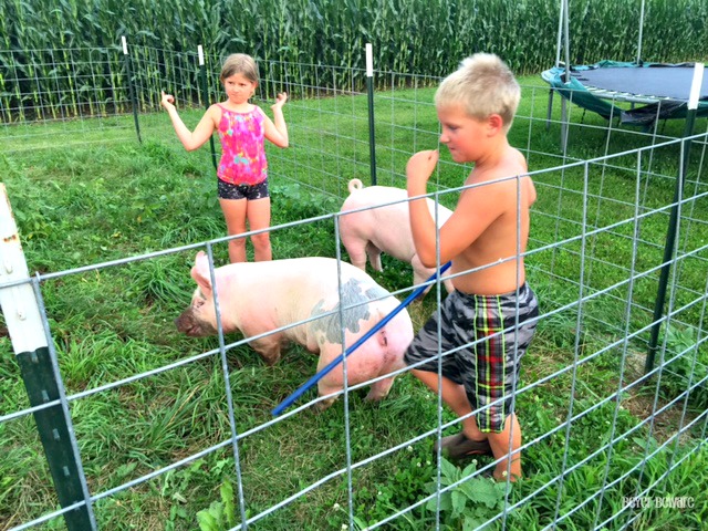 Raising pigs outdoors isn't all it is cracked up to be, but my kids are learning about what it takes to raise animals.
