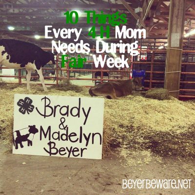 10 things every 4-H Mom should have at the county fair