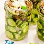 These easy refrigerator dill pickles are quick to make refrigerator pickle recipe made with cucumbers, onions, garlic, and lots of seasonings for the ultimate homemade pickles.