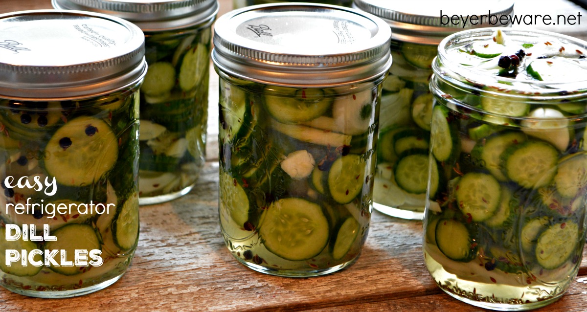 Easy Refrigerator Dill Pickles Beyer Beware These Easy Refrigerator Dill Pickles Are Quick To Make And Will Disear Out Of Your Fridge