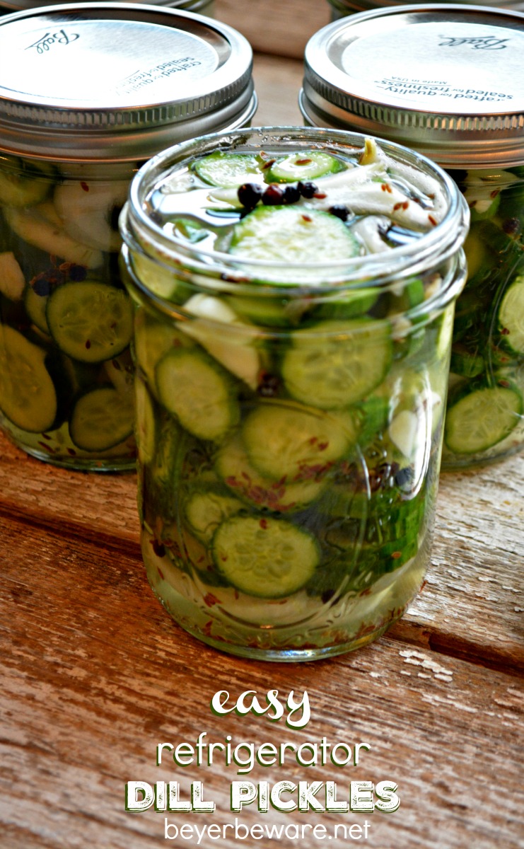 Quick Dill Pickles Quick Dill Pickles new foto Quick Dill Pickles Quick Dill Pickles new picture