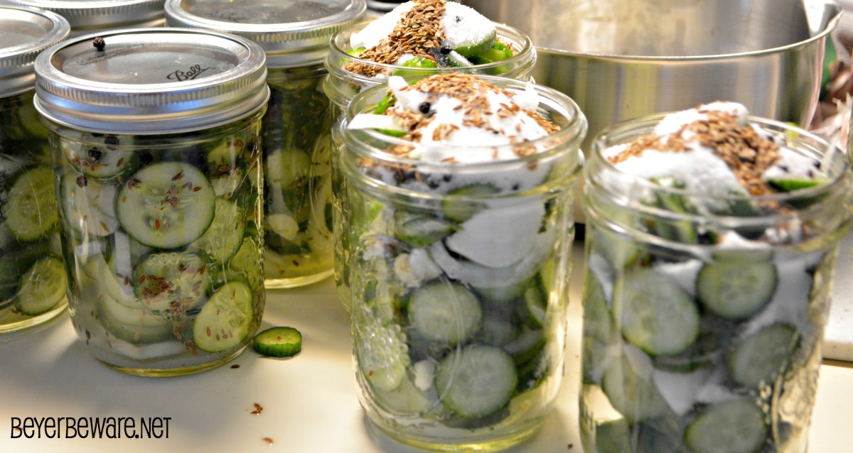 Easy refrigerator garlic, onion and dill pickles can be made easily and ready in 24 hours. These pickles will convert the non-pickle eaters to pickle lovers.