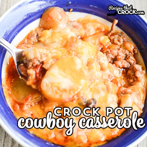 This week's Whatcha Crockin' crock pot recipes include Slow Cooker Chicken and Noodles, Slow Cooker Chicken Enchilada Soup, Crock Pot Cowboy Casserole, Mixed Berry Dump Cake, Slow Cooked Pineapple Brown Sugar Glazed Ham, Texas Queso Dip, Slow Cooker Mexican Pot Roast Tacos and much more!