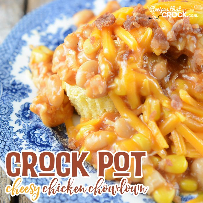 This week’s Whatcha Crockin’ crock pot recipes are all about comfort food, including Crock Pot Meatloaf, Cheesy Crock Pot Tortellini Casserole, 4 Ingredient Crock Pot Cheesy Potatoes, Crock Pot Biscuits and Gravy Casserole, Crock Pot Cheesy Chicken Chowdown, Slow Cooker Fudge Made with Honey, Crock Pot French Dip, Instant Pot Goulash and many more!