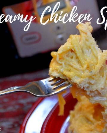 Crock pot creamy chicken spaghetti is the perfect chicken pasta dish with cream cheese and Italian seasoning to give the dish great alfredo flavors when you are needing to feed a large crowd or a hungry family.