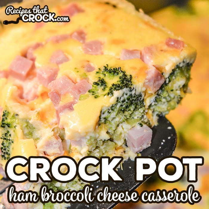 This week’s Whatcha Crockin’ crock pot recipes include Instant Pot Chugwater Chili, Slow Cooker Pork and Beans, Slow Cooker Pumpkin Apple Cake, Low Carb Slow Cooker Santa Fe Omelet, Crock Pot Ham Broccoli Cheese Casserole, Slow Cooker Spaghetti Sauce, Crock Pot Chicken Philly Sandwiches and more!
