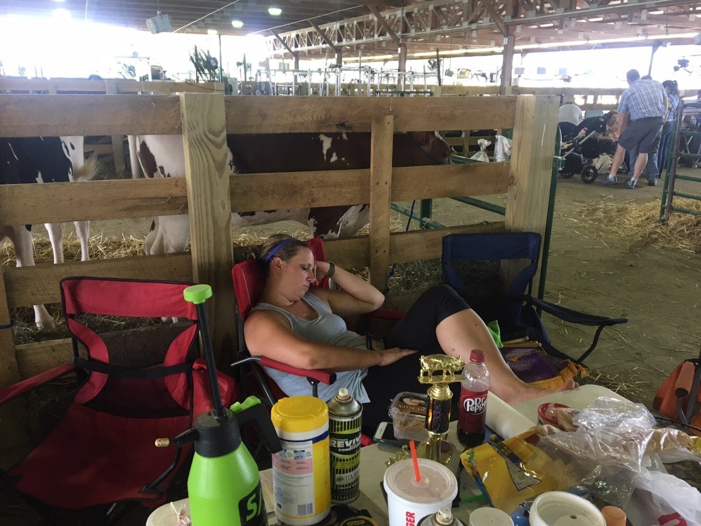 What you need to have at a livestock show or county fair?