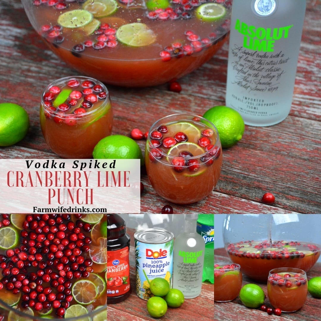 Cranberry Lime Punch