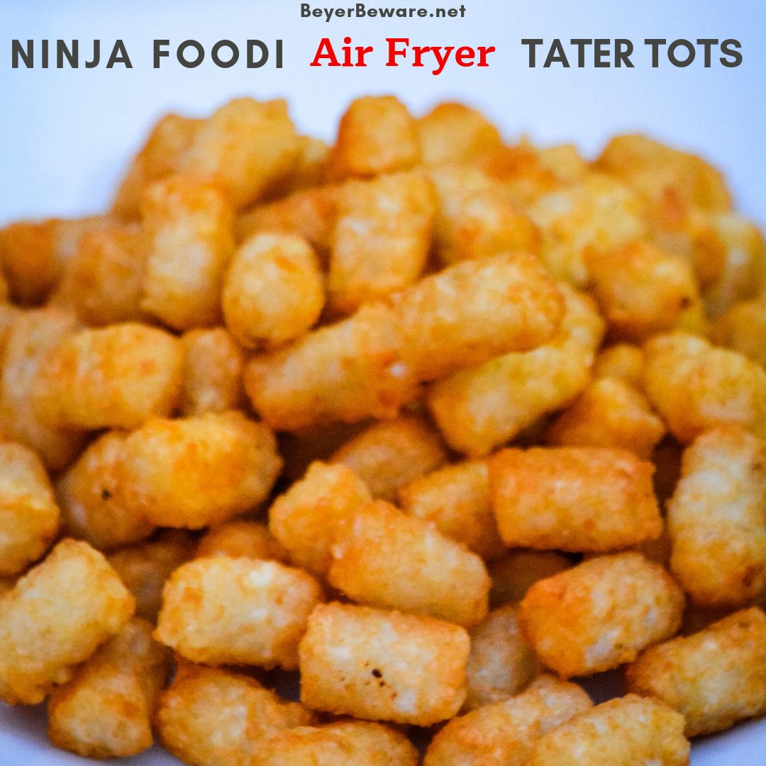 Ninja Foodi Air Fryer Tater Tots - Beyer Eats and Drinks