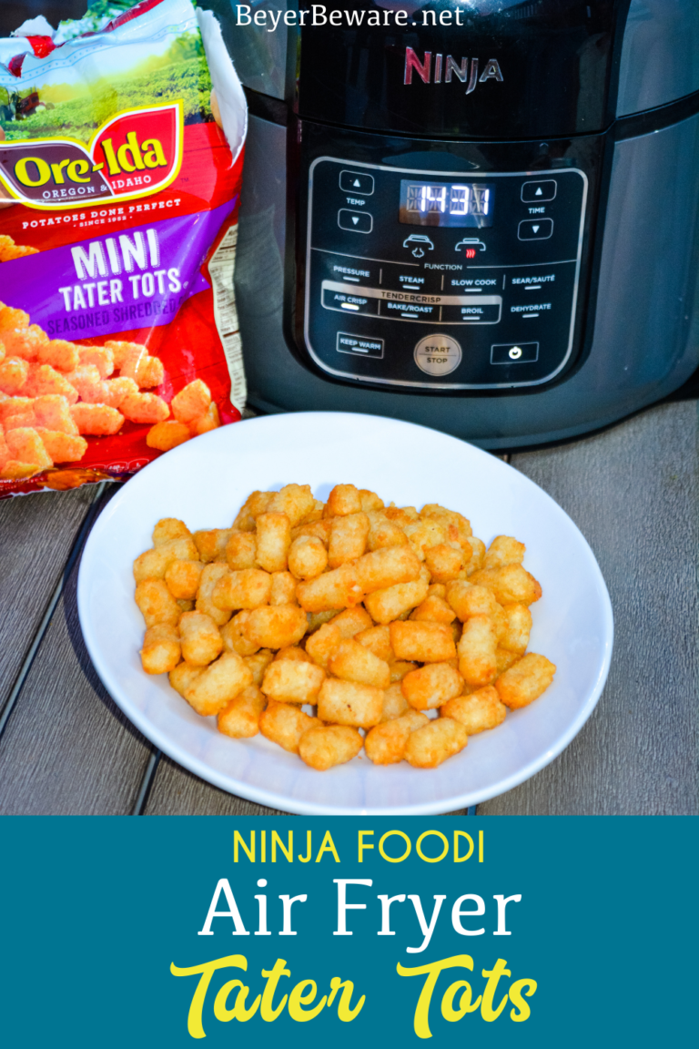 Ninja Foodi Air Fryer Tater Tots