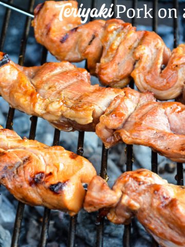 Teriyaki Pork on a Stick is a simple pork marinade recipe made from soy sauce, brown sugar, pineapple juice, and ginger that is perfect for grilled pork.