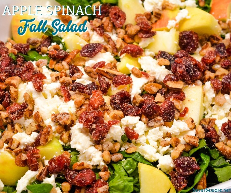 Apple spinach salad is a sweet and savory mixture of spinach, apples, pecans, cranberries, and feta cheese finished with a maple dijon vinaigrette.