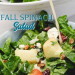 Apple spinach salad is a sweet and savory mixture of spinach, apples, pecans, cranberries, and feta cheese finished with a maple dijon vinaigrette.