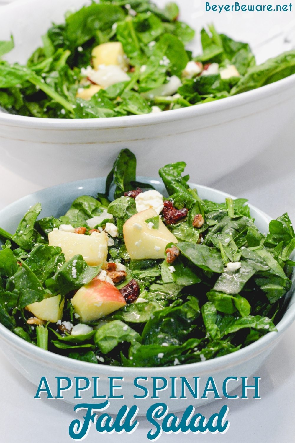 Apple spinach salad is a sweet and savory mixture of spinach, apples, pecans, cranberries, and feta cheese finished with a maple dijon vinaigrette.