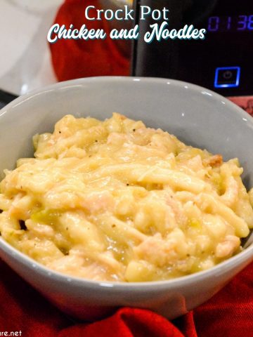 Easy Crock Pot Chicken and Noodles is made by slow cooking chicken, onions, celery, and garlic all day and then adding Reames wide noodles.