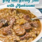 Crock Pot beef and barley soup with mushrooms is my new favorite soup to make this winter. This soup is full of onion, celery, and garlic and then lots of mushrooms and of course stew meat all made heartier with barley.