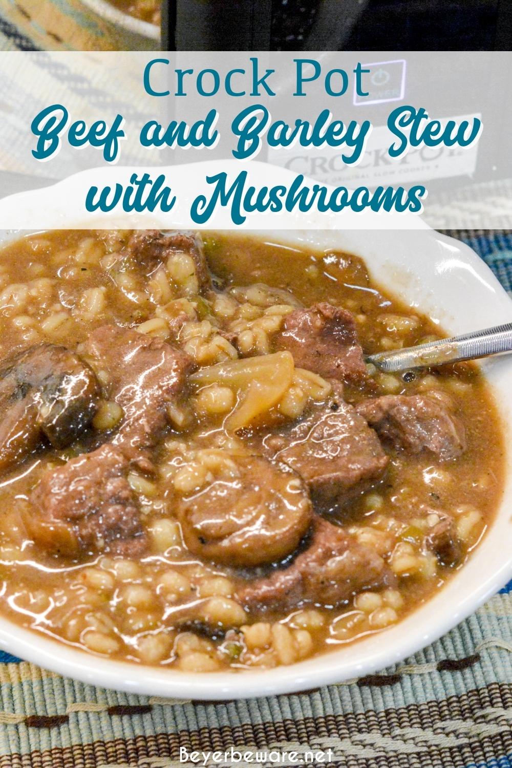 Crock Pot beef and barley soup with mushrooms is my new favorite soup to make this winter. This soup is full of onion, celery, and garlic and then lots of mushrooms and of course stew meat all made heartier with barley.