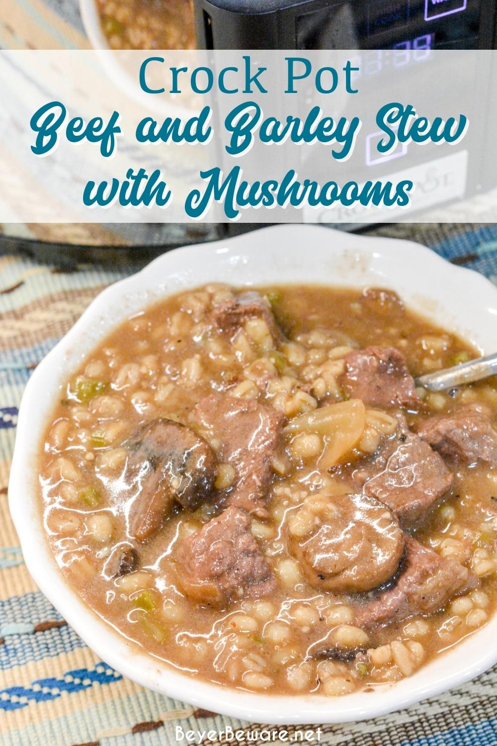 Crock Pot beef and barley soup with mushrooms is my new favorite soup to make this winter. This soup is full of onion, celery, and garlic and then lots of mushrooms and of course stew meat all made heartier with barley.