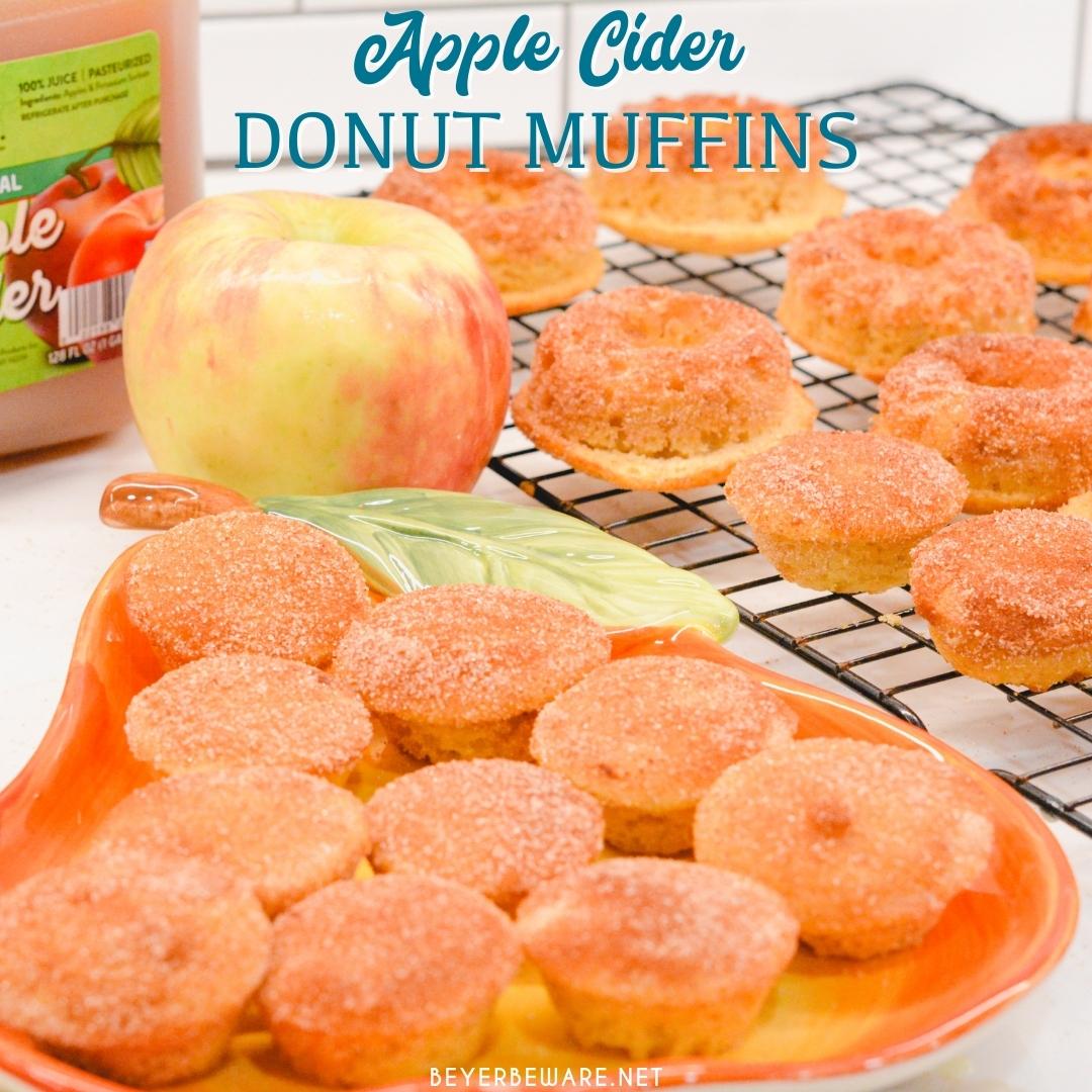 Apple Cider Donut Muffins Recipe