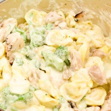 Chicken tortellini alfredo with broccoli is cheese-filled pasta mixed with grilled chicken and broccoli and then smothered with a creamy alfredo sauce.