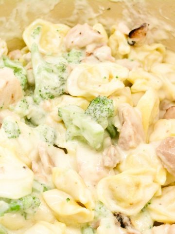 Chicken tortellini alfredo with broccoli is cheese-filled pasta mixed with grilled chicken and broccoli and then smothered with a creamy alfredo sauce.