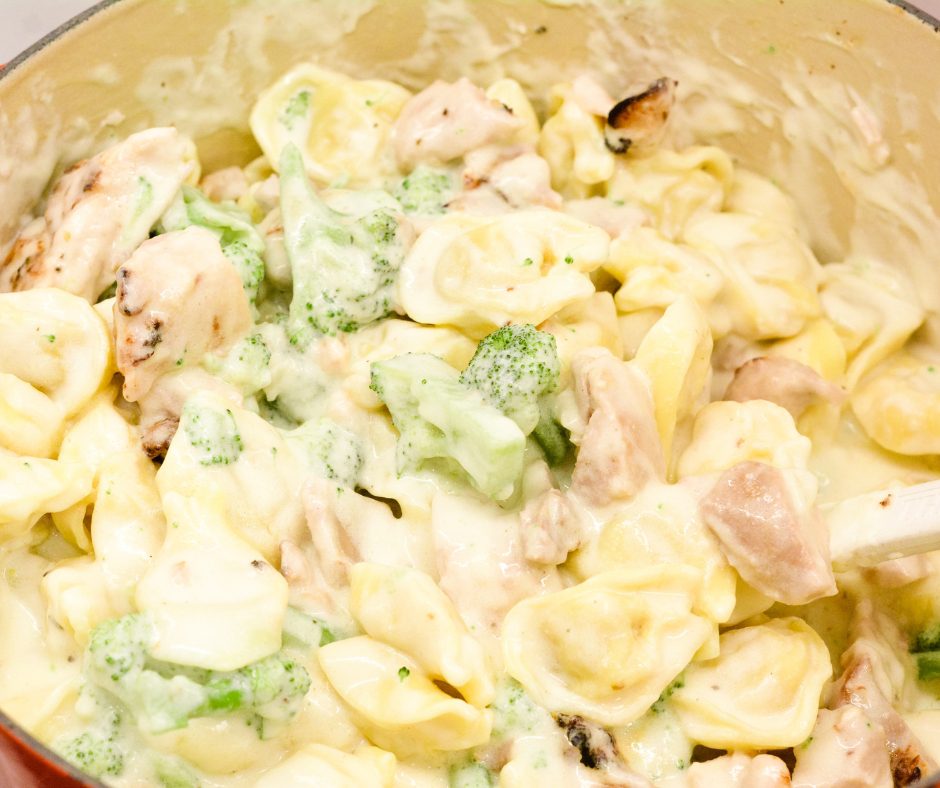Chicken tortellini alfredo with broccoli is cheese-filled pasta mixed with grilled chicken and broccoli and then smothered with a creamy alfredo sauce. 