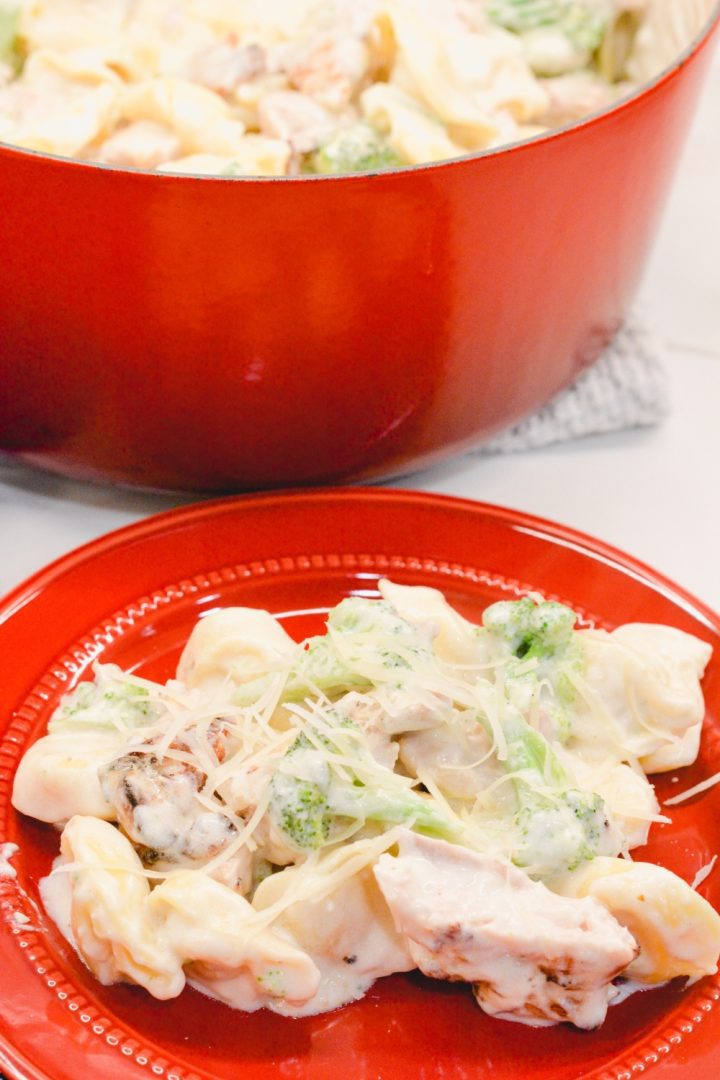 Chicken tortellini alfredo with broccoli is cheese-filled pasta mixed with grilled chicken and broccoli and then smothered with a creamy alfredo sauce.