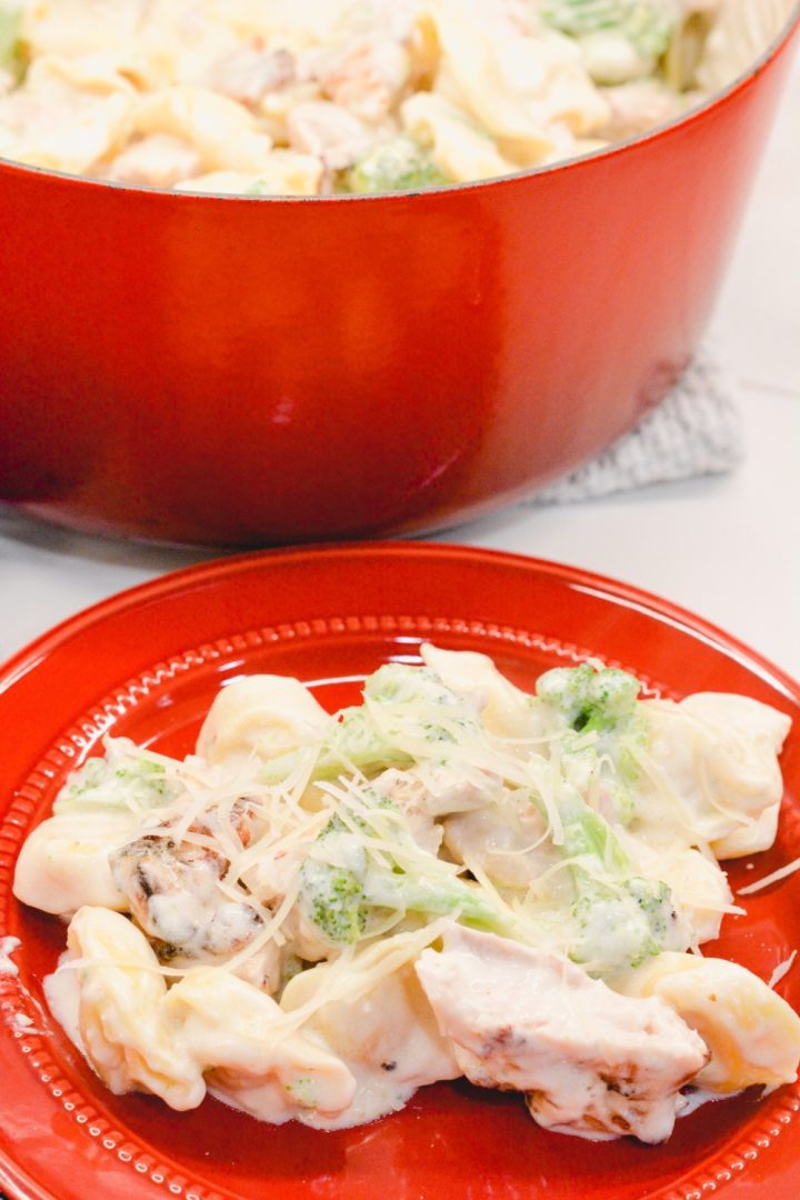 Chicken tortellini alfredo with broccoli is cheese-filled pasta mixed with grilled chicken and broccoli and then smothered with a creamy alfredo sauce. 