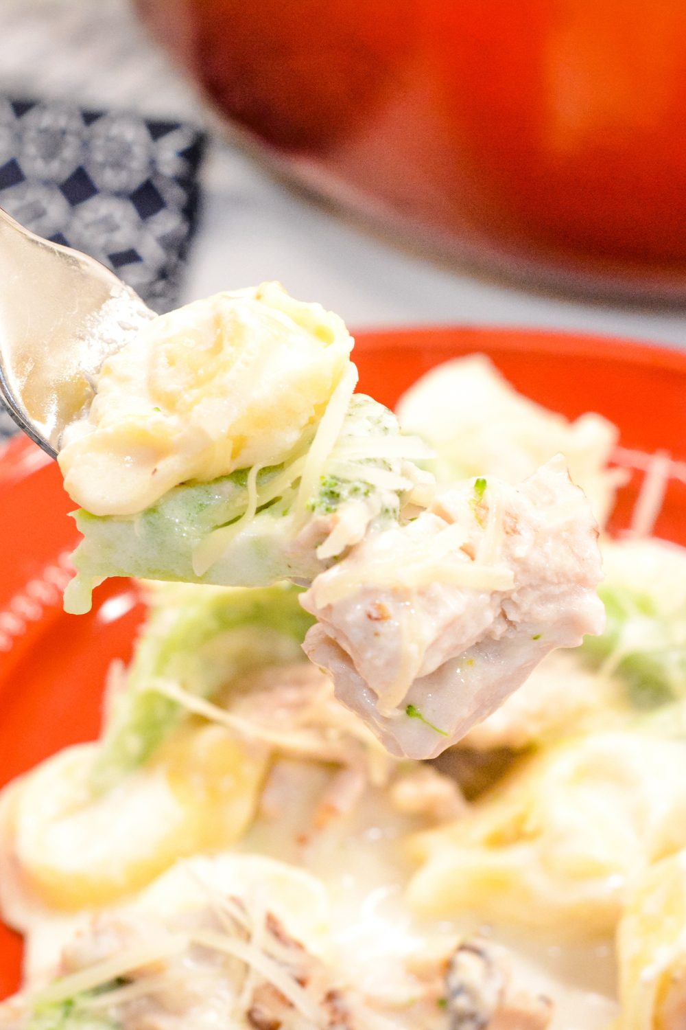 Chicken tortellini alfredo with broccoli is cheese-filled pasta mixed with grilled chicken and broccoli and then smothered with a creamy alfredo sauce. 