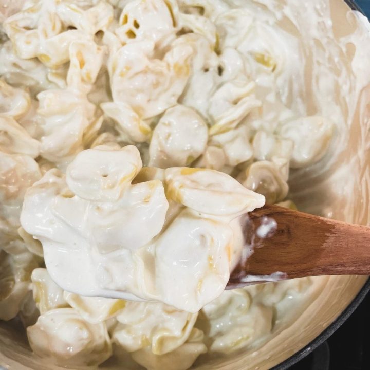 Chicken tortellini alfredo with broccoli is cheese-filled pasta mixed with grilled chicken and broccoli and then smothered with a creamy alfredo sauce.