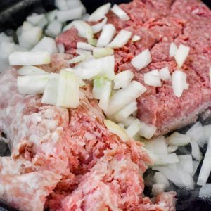 Brown the ground beef and pork in a skillet with the diced onions and garlic. Season with salt and pepper.